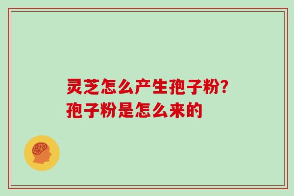 灵芝怎么产生孢子粉？孢子粉是怎么来的