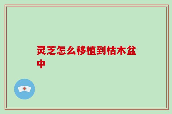 灵芝怎么移植到枯木盆中