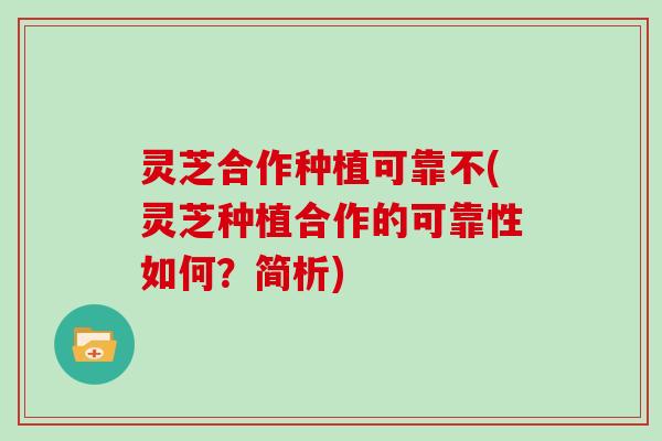 灵芝合作种植可靠不(灵芝种植合作的可靠性如何？简析)