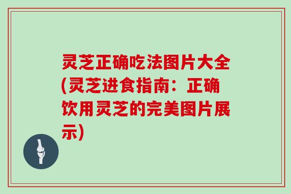 灵芝正确吃法图片大全(灵芝进食指南：正确饮用灵芝的完美图片展示)