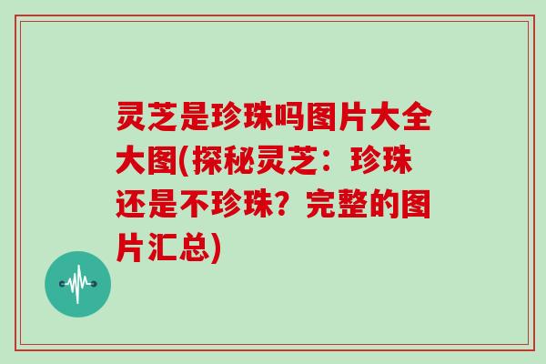 灵芝是珍珠吗图片大全大图(探秘灵芝：珍珠还是不珍珠？完整的图片汇总)
