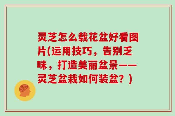 灵芝怎么载花盆好看图片(运用技巧，告别乏味，打造美丽盆景——灵芝盆栽如何装盆？)