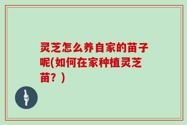 灵芝怎么养自家的苗子呢(如何在家种植灵芝苗？)