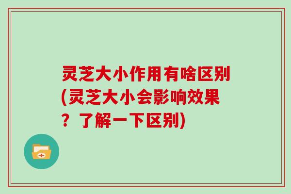 灵芝大小作用有啥区别(灵芝大小会影响效果？了解一下区别)