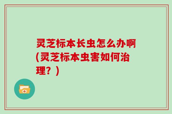 灵芝标本长虫怎么办啊(灵芝标本虫害如何治理？)