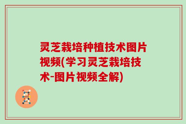 灵芝栽培种植技术图片视频(学习灵芝栽培技术-图片视频全解)