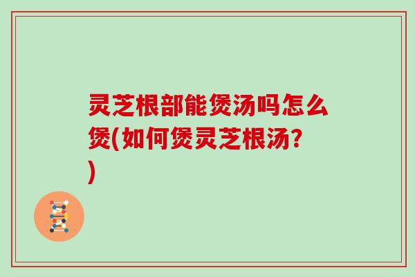 灵芝根部能煲汤吗怎么煲(如何煲灵芝根汤？)