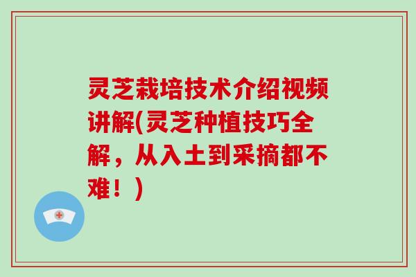灵芝栽培技术介绍视频讲解(灵芝种植技巧全解，从入土到采摘都不难！)