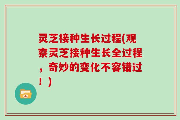 灵芝接种生长过程(观察灵芝接种生长全过程，奇妙的变化不容错过！)