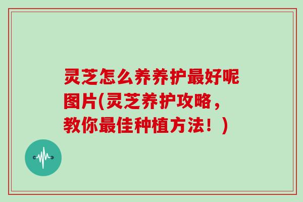 灵芝怎么养养护最好呢图片(灵芝养护攻略，教你最佳种植方法！)