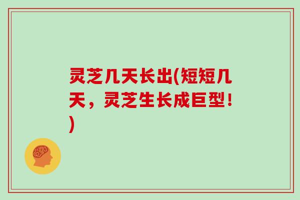 灵芝几天长出(短短几天，灵芝生长成巨型！)