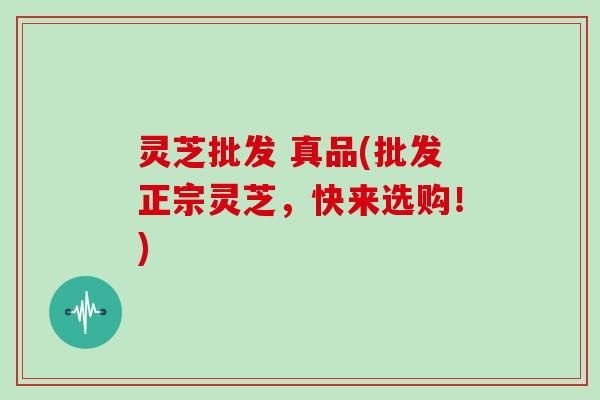 灵芝批发 真品(批发正宗灵芝，快来选购！)