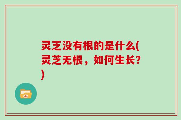 灵芝没有根的是什么(灵芝无根，如何生长？)