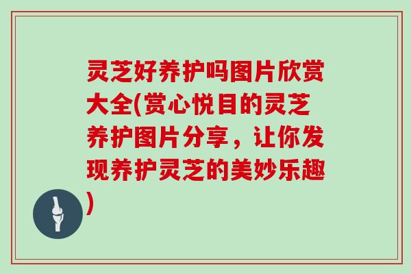 灵芝好养护吗图片欣赏大全(赏心悦目的灵芝养护图片分享，让你发现养护灵芝的美妙乐趣)