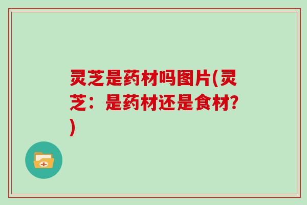 灵芝是药材吗图片(灵芝：是药材还是食材？)