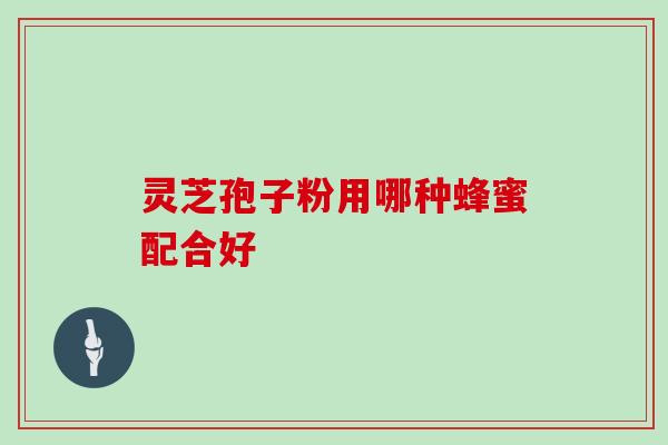 灵芝孢子粉用哪种蜂蜜配合好