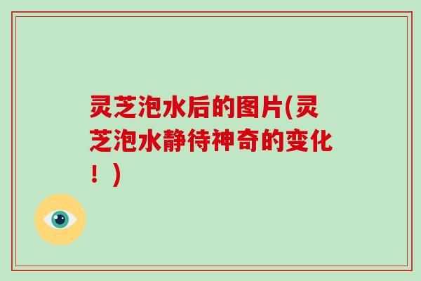 灵芝泡水后的图片(灵芝泡水静待神奇的变化！)