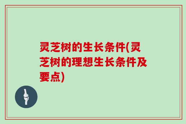 灵芝树的生长条件(灵芝树的理想生长条件及要点)