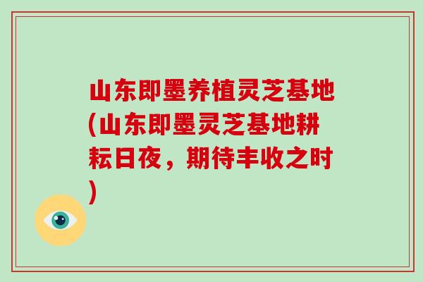 山东即墨养植灵芝基地(山东即墨灵芝基地耕耘日夜，期待丰收之时)