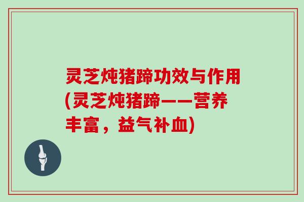 灵芝炖猪蹄功效与作用(灵芝炖猪蹄——营养丰富，益气补血)