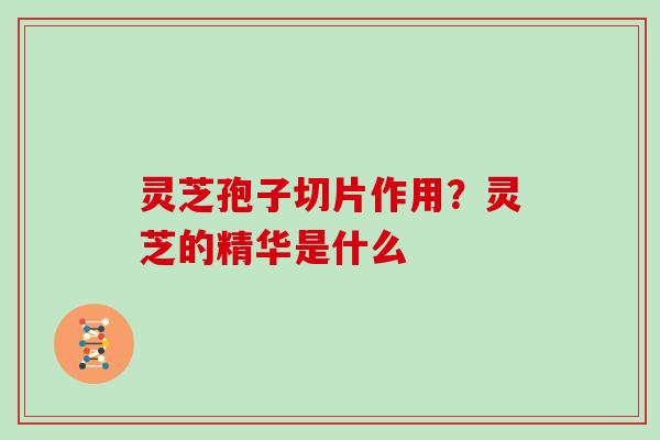 灵芝孢子切片作用？灵芝的精华是什么