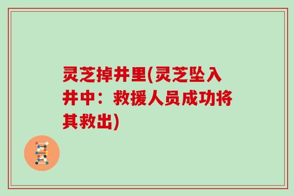 灵芝掉井里(灵芝坠入井中：救援人员成功将其救出)