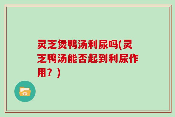 灵芝煲鸭汤利尿吗(灵芝鸭汤能否起到利尿作用？)-第1张图片-灵芝大师
