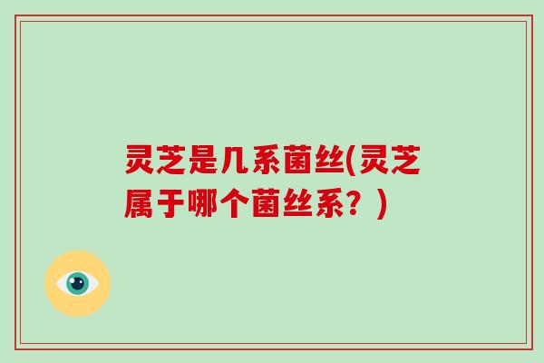 灵芝是几系菌丝(灵芝属于哪个菌丝系？)