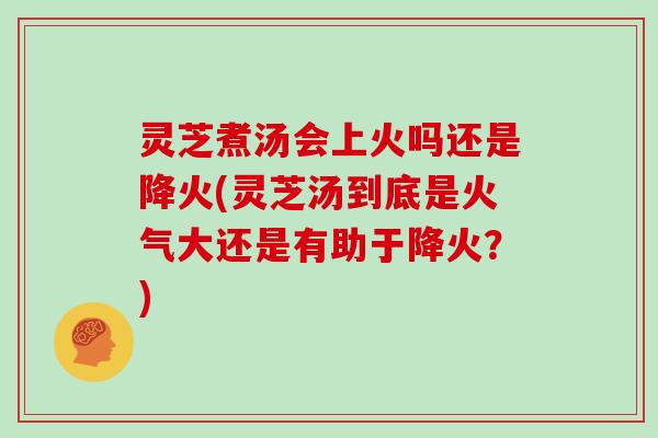 灵芝煮汤会上火吗还是降火(灵芝汤到底是火气大还是有助于降火？)