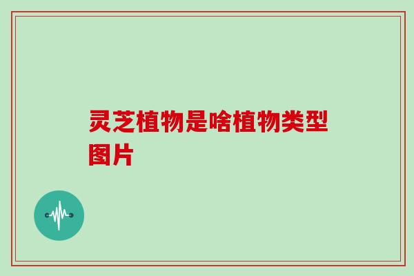灵芝植物是啥植物类型图片