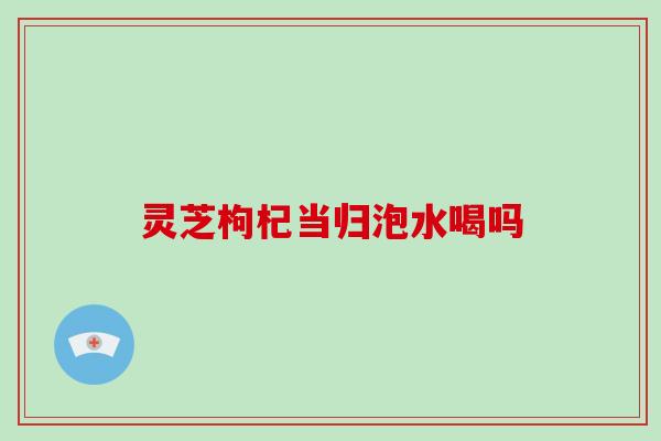 灵芝枸杞当归泡水喝吗