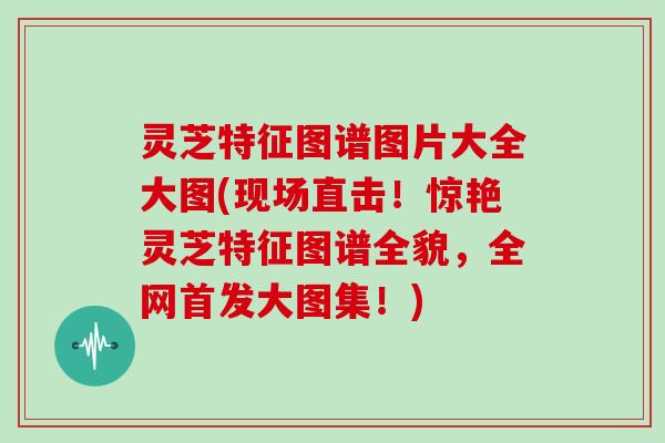 灵芝特征图谱图片大全大图(现场直击！惊艳灵芝特征图谱全貌，全网首发大图集！)