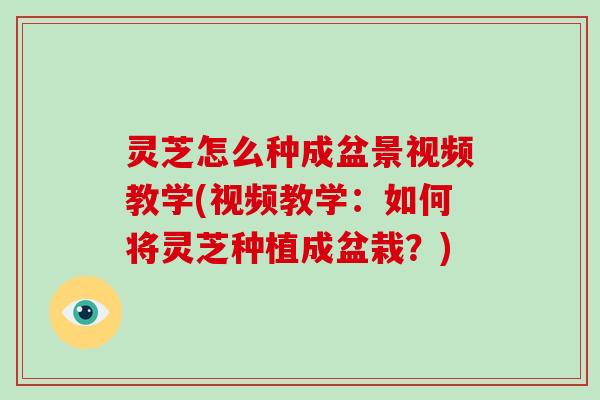 灵芝怎么种成盆景视频教学(视频教学：如何将灵芝种植成盆栽？)