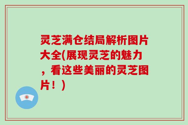 灵芝满仓结局解析图片大全(展现灵芝的魅力，看这些美丽的灵芝图片！)