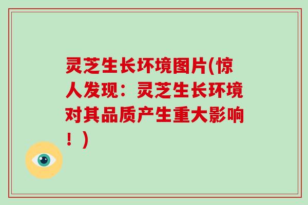 灵芝生长坏境图片(惊人发现：灵芝生长环境对其品质产生重大影响！)