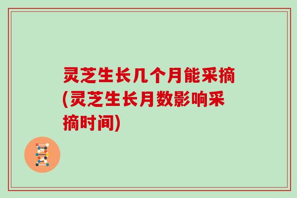 灵芝生长几个月能采摘(灵芝生长月数影响采摘时间)