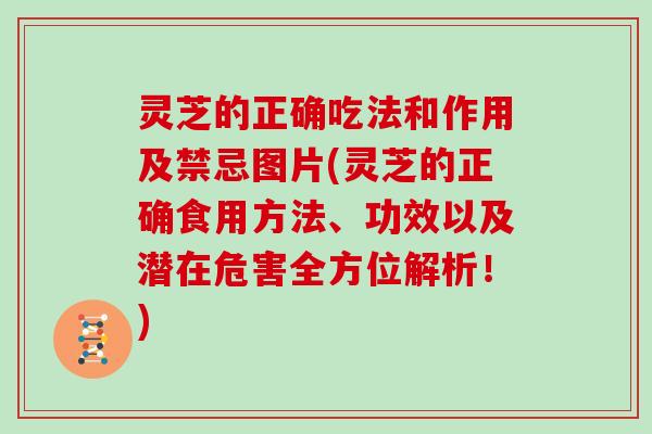 灵芝的正确吃法和作用及禁忌图片(灵芝的正确食用方法、功效以及潜在危害全方位解析！)