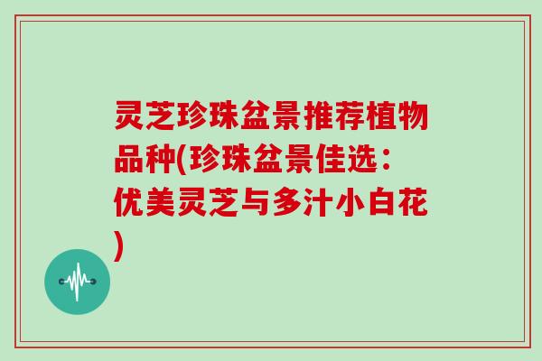 灵芝珍珠盆景推荐植物品种(珍珠盆景佳选：优美灵芝与多汁小白花)
