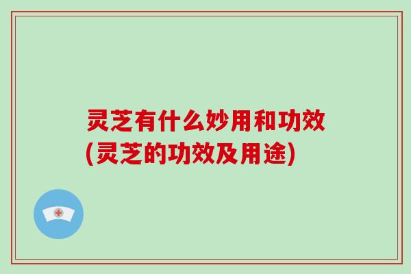 灵芝有什么妙用和功效(灵芝的功效及用途)