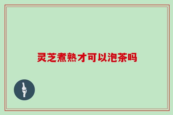 灵芝煮熟才可以泡茶吗
