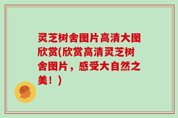 灵芝树舍图片高清大图欣赏(欣赏高清灵芝树舍图片，感受大自然之美！)