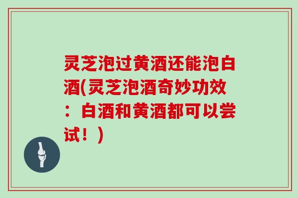 灵芝泡过黄酒还能泡白酒(灵芝泡酒奇妙功效：白酒和黄酒都可以尝试！)