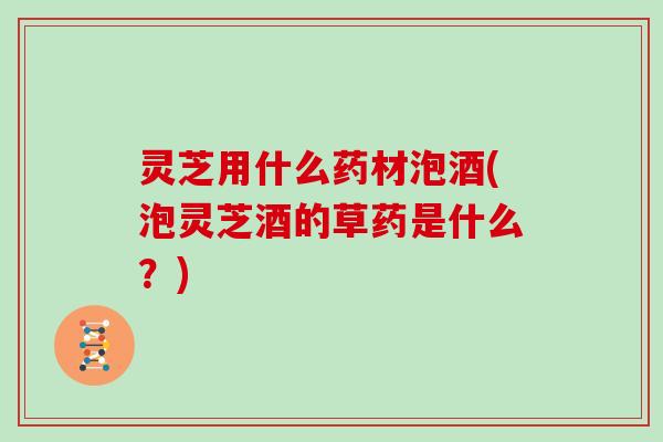 灵芝用什么药材泡酒(泡灵芝酒的草药是什么？)