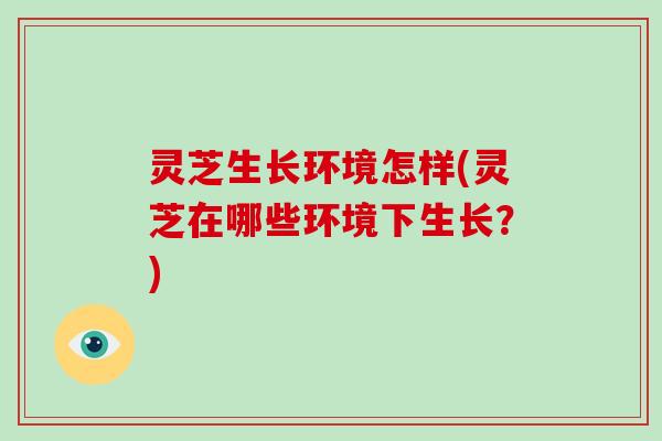 灵芝生长环境怎样(灵芝在哪些环境下生长？)