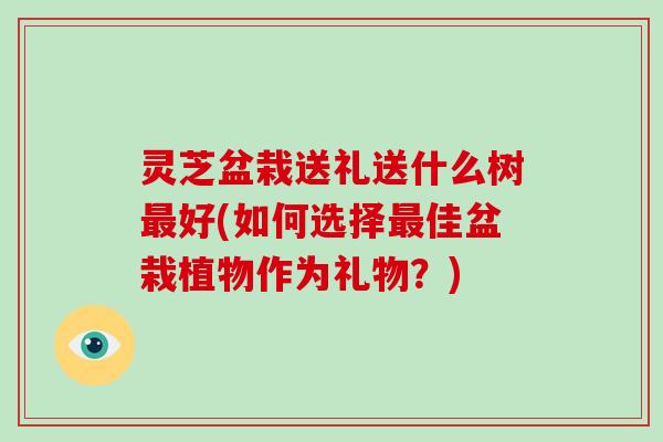 灵芝盆栽送礼送什么树最好(如何选择最佳盆栽植物作为礼物？)