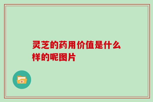 灵芝的药用价值是什么样的呢图片