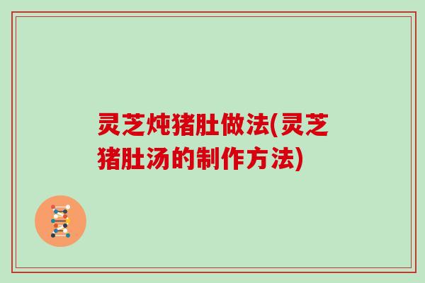 灵芝炖猪肚做法(灵芝猪肚汤的制作方法)