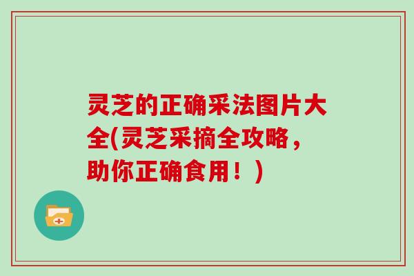 灵芝的正确采法图片大全(灵芝采摘全攻略，助你正确食用！)