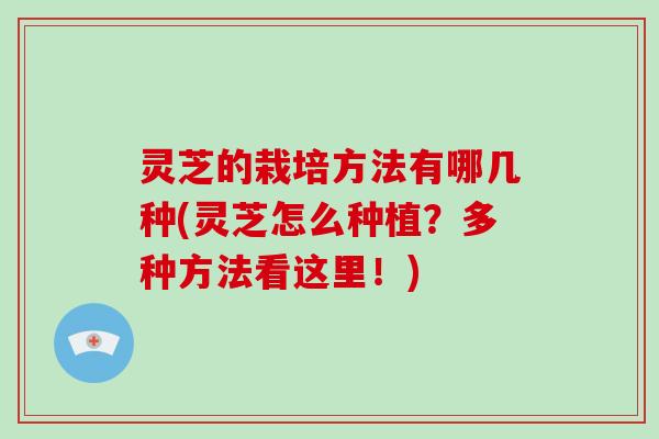 灵芝的栽培方法有哪几种(灵芝怎么种植？多种方法看这里！)