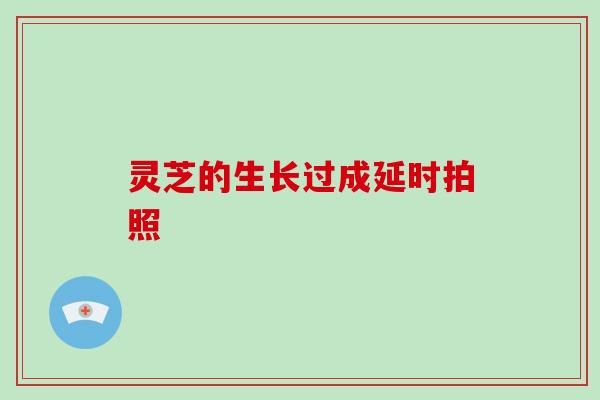 灵芝的生长过成延时拍照
